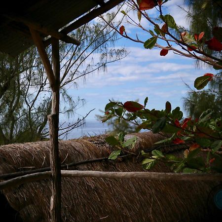 Tree House Cottage, Ocean View Tofo Екстер'єр фото