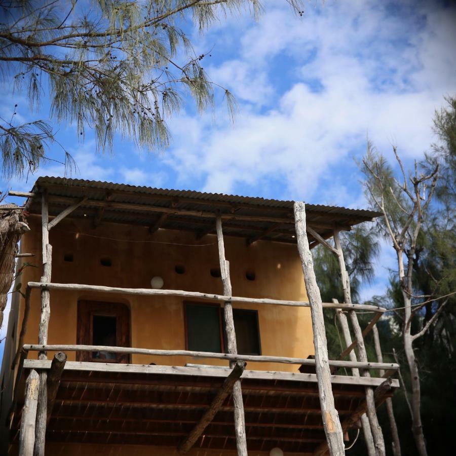 Tree House Cottage, Ocean View Tofo Екстер'єр фото